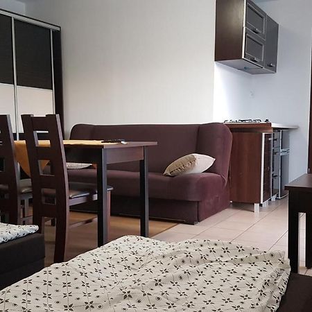 E&S_ Apartament Milicz Luaran gambar