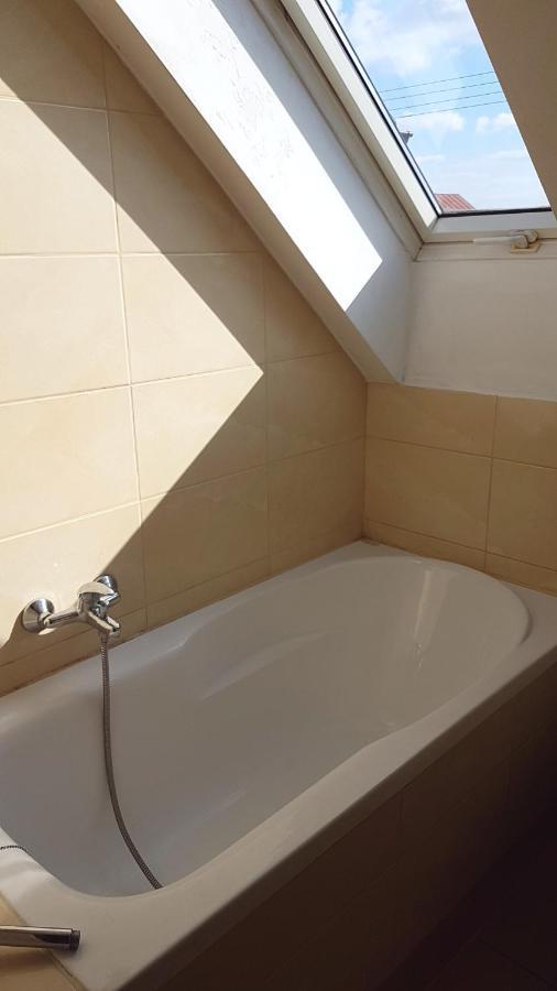 E&S_ Apartament Milicz Luaran gambar